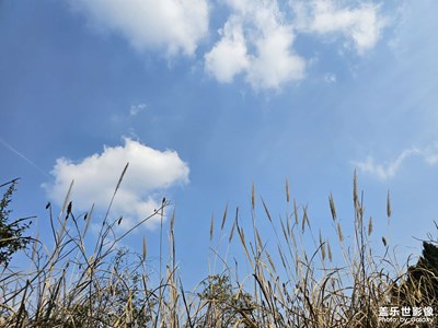 【簡拍】+成都春天