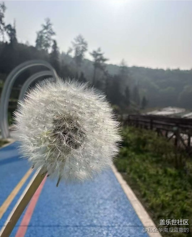 【徒步所見(jiàn)】一路繁花