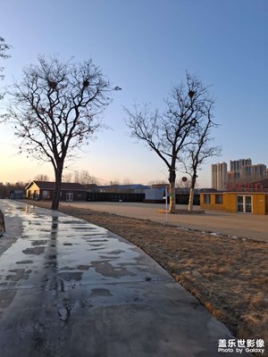 【簡(jiǎn)拍】雪景