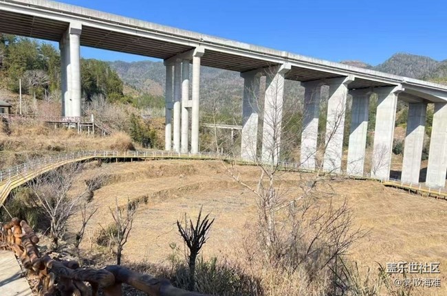 【徒步所見】植樹