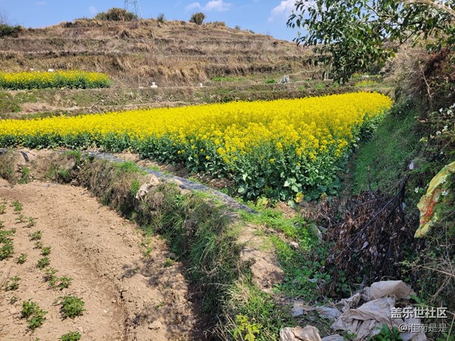 【徒步所見】走走看看