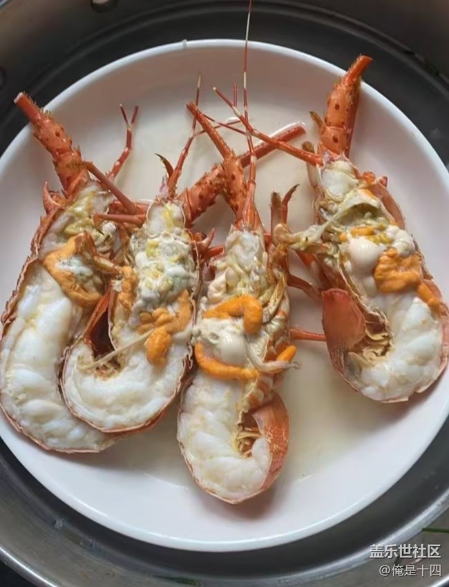 【一口春味】清蒸小青龍