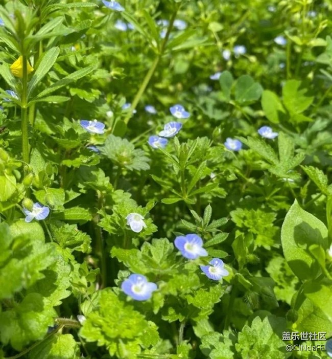 【徒步所見】春天來了