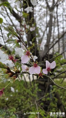 周六閑逛，隨手拍。