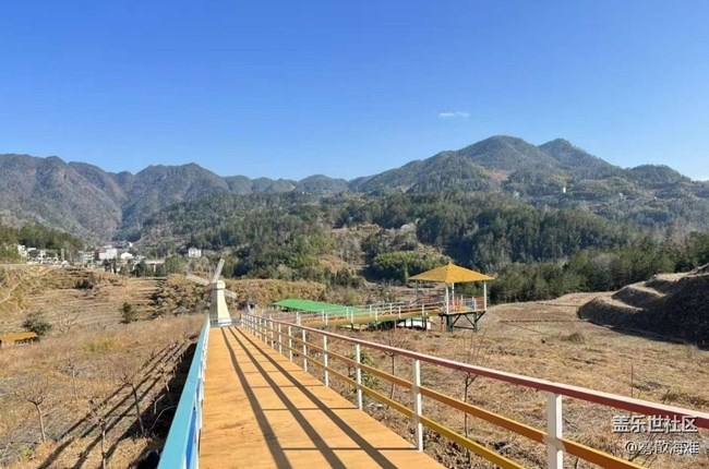 【徒步所見】植樹