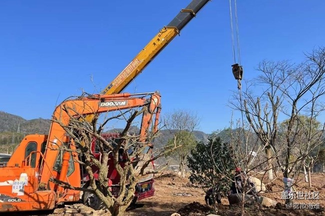 【徒步所見】植樹