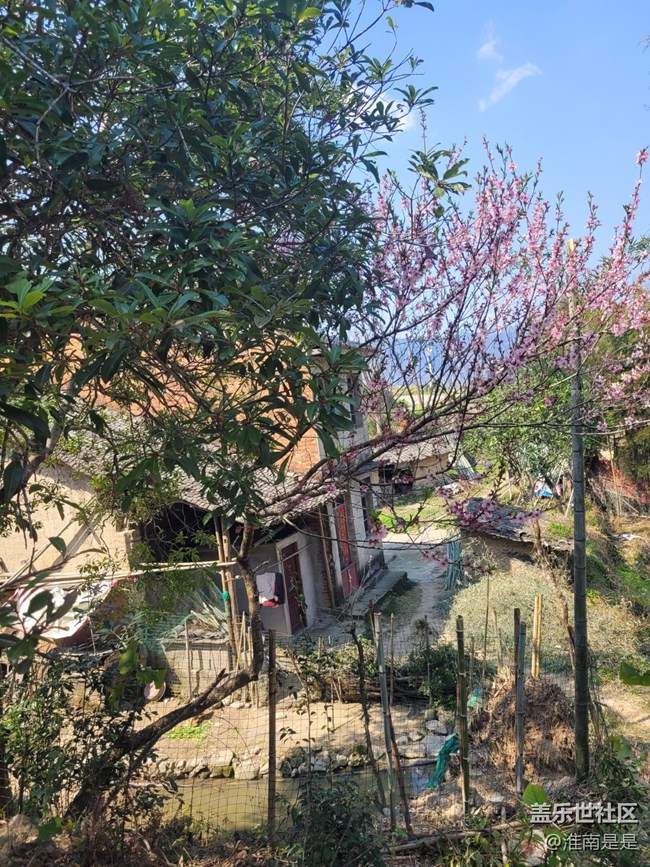 【徒步所見】走走看看