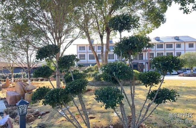 【徒步所見】植樹