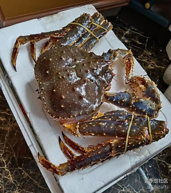 【一口春味】大螃蟹