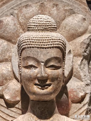 【簡(jiǎn)拍】隨拍