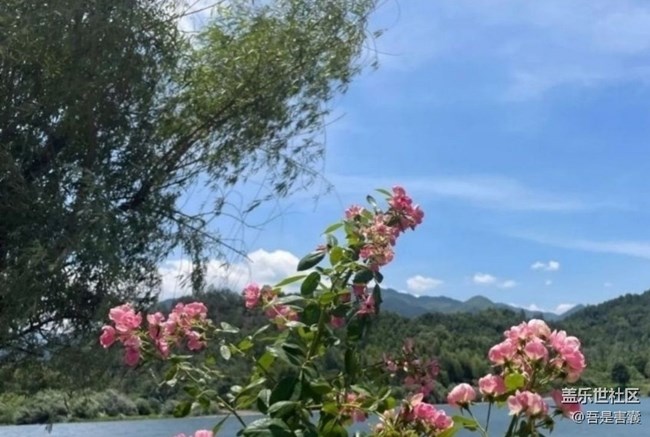 【徒步所見】走走