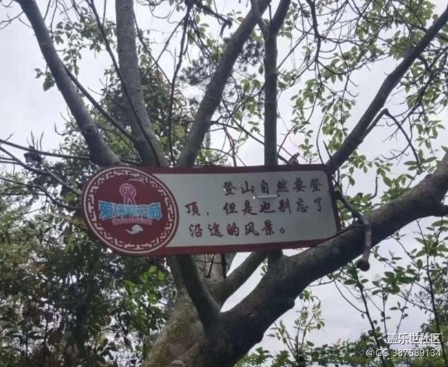 【徒步所見(jiàn)】春季登山