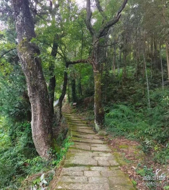 【徒步所見】登山的樂趣