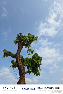 【簡拍】如詩如畫，綠意盎然