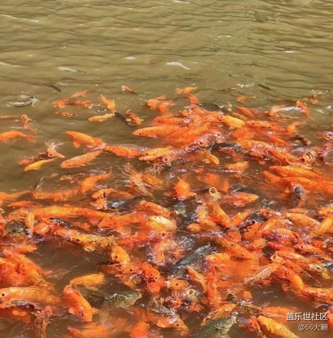 【徒步所見】綠水青山