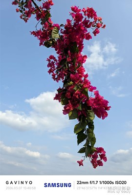 【簡(jiǎn)拍】以枝條為筆，以時(shí)光為墨