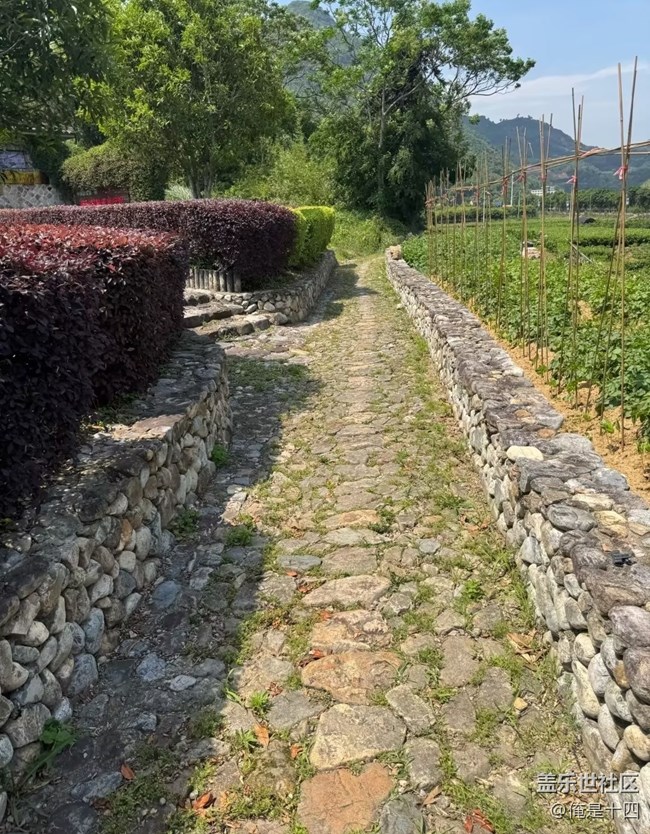 【徒步所見】體驗(yàn)鄉(xiāng)村