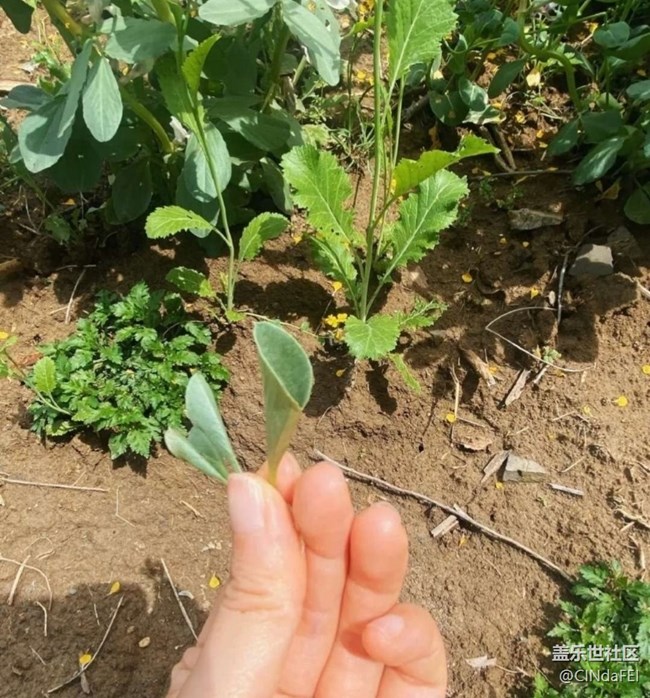 【徒步所見】春天來了