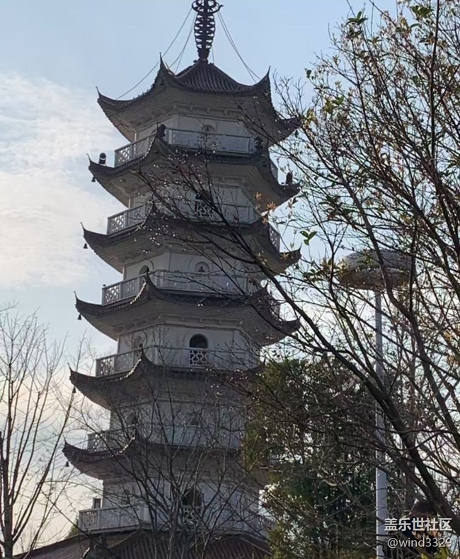 【徒步所見】周末爬山賞花