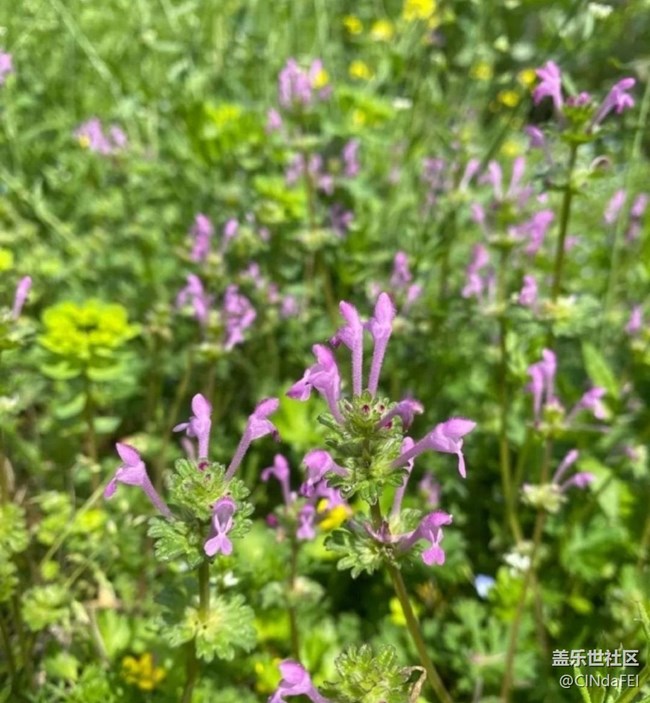 【徒步所見】春天來了