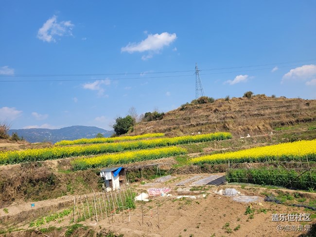 【徒步所見】走走看看