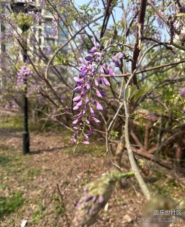 【徒步所見(jiàn)】一路繁花