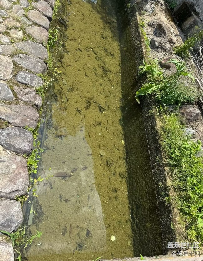 【徒步所見】體驗(yàn)鄉(xiāng)村