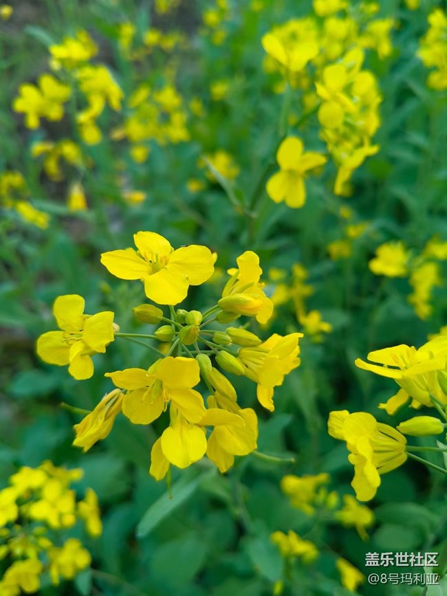 【徒步所見】田野