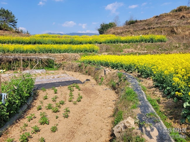 【徒步所見】走走看看
