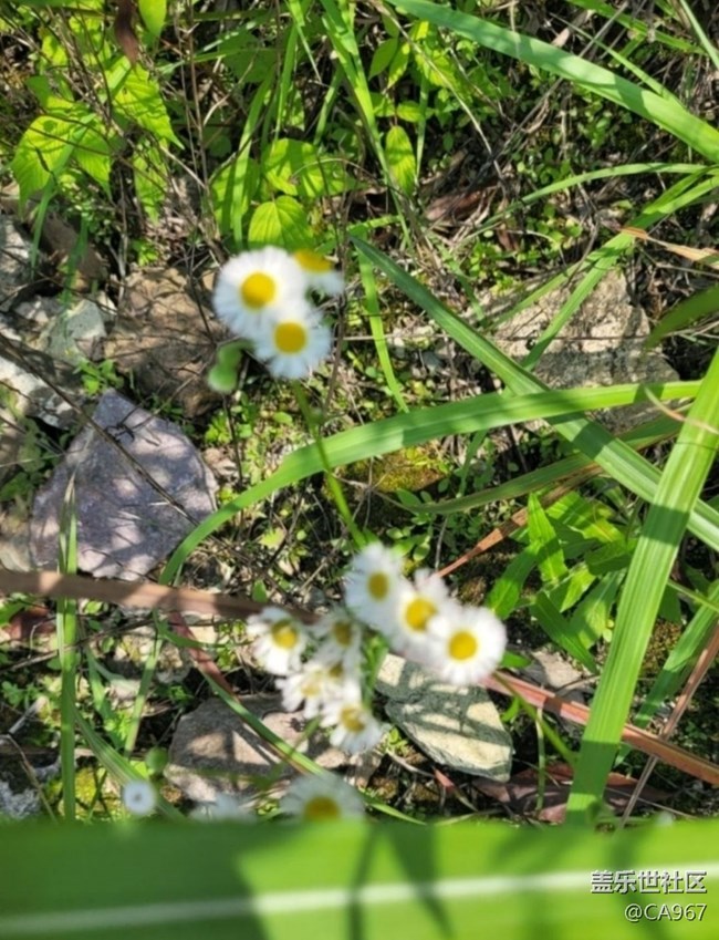 【徒步所見】自然風(fēng)光