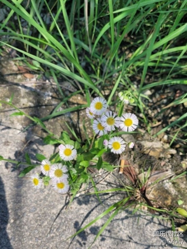 【徒步所見】自然風(fēng)光