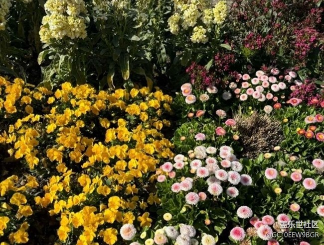 【徒步所見】看花