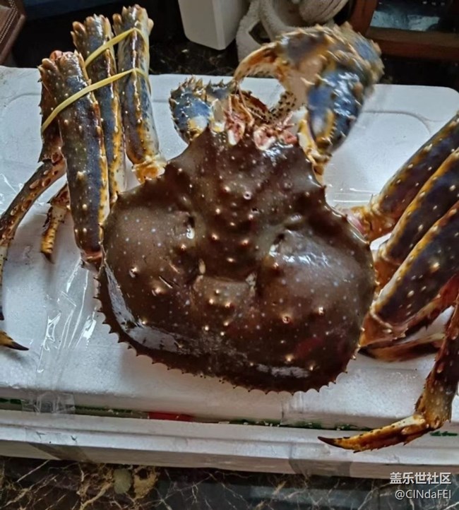 【一口春味】大螃蟹