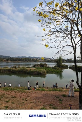 【簡拍】綠意盎然，水天一色