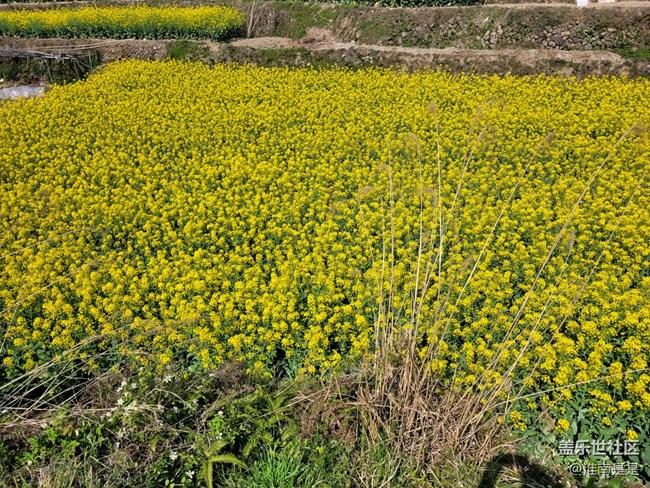 【徒步所見】走走看看