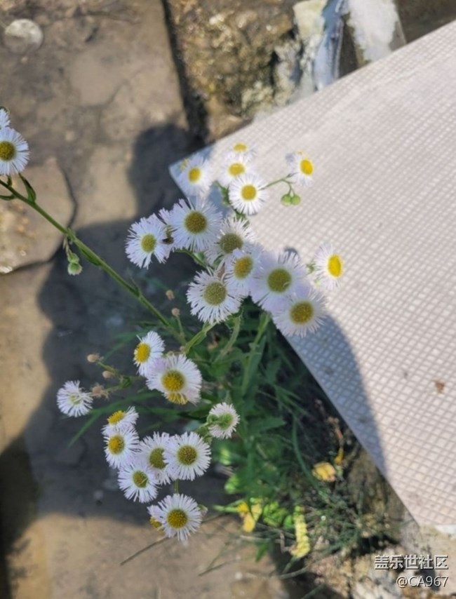 【徒步所見】自然風(fēng)光