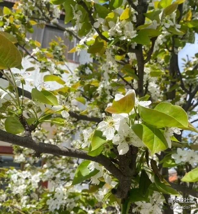 【徒步所見】春天來了