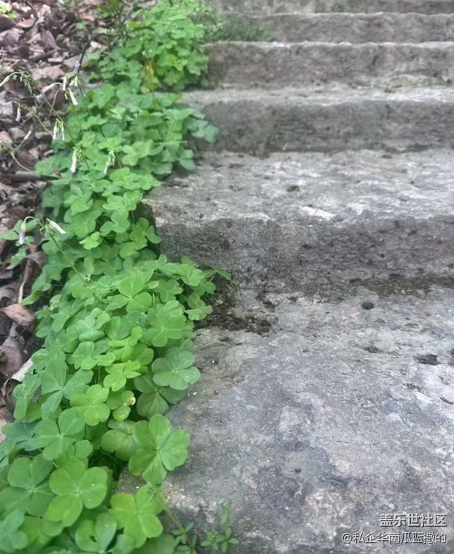 【徒步所見(jiàn)】一路繁花