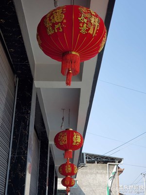 【簡(jiǎn)拍】+春