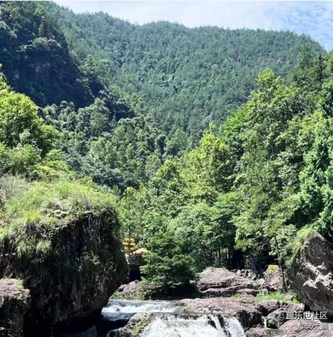 【徒步所見】綠水青山
