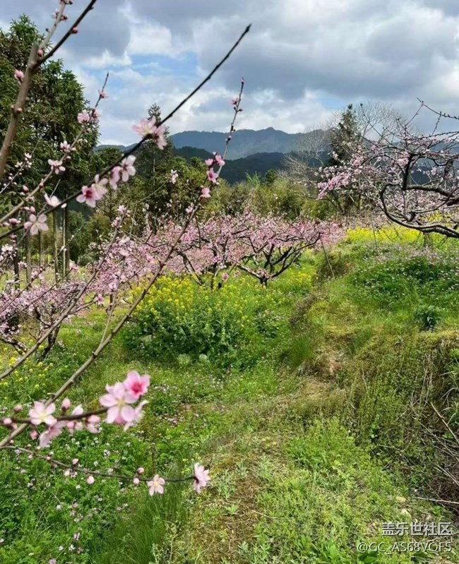 【徒步所見】鄉(xiāng)間田野