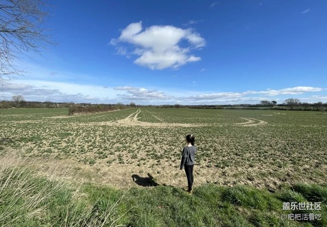 【徒步所見(jiàn)】尋找春天