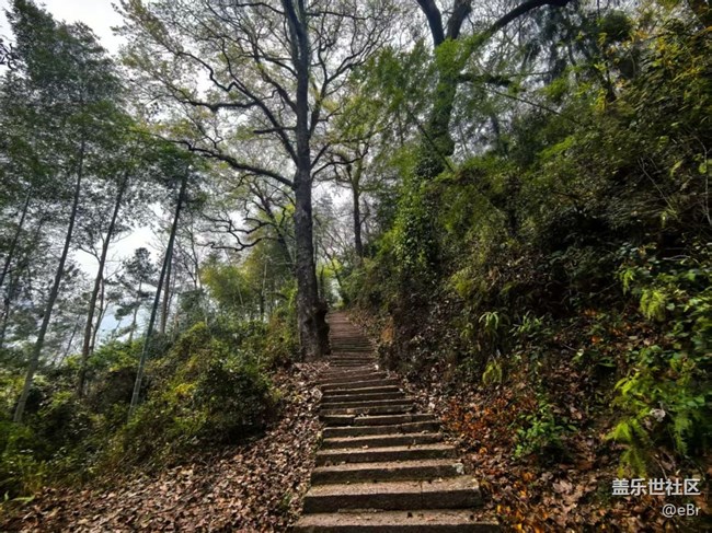 【徒步所見】春來了