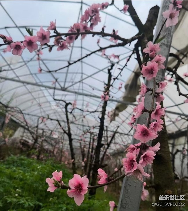 【徒步所見(jiàn)】溫暖午后