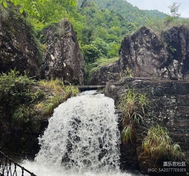 【徒步所見】初春景色