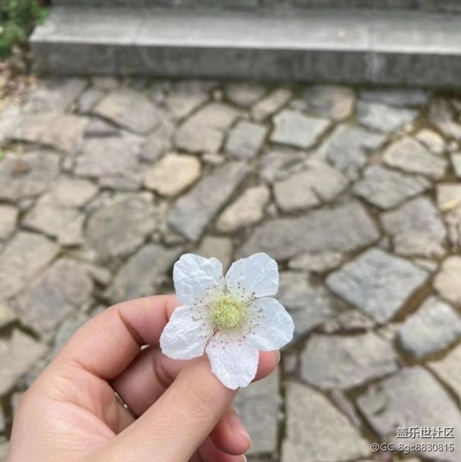 【徒步所見】風(fēng)景