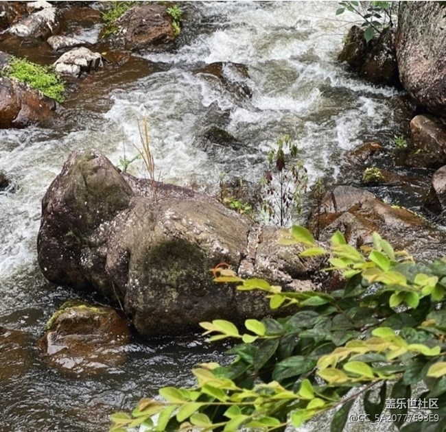 【徒步所見】初春景色