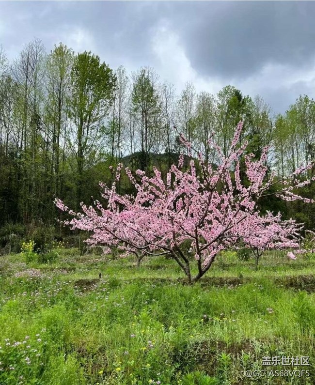 【徒步所見】鄉(xiāng)間田野