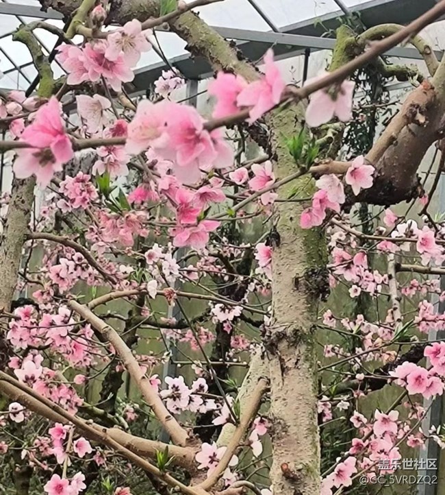 【徒步所見(jiàn)】溫暖午后