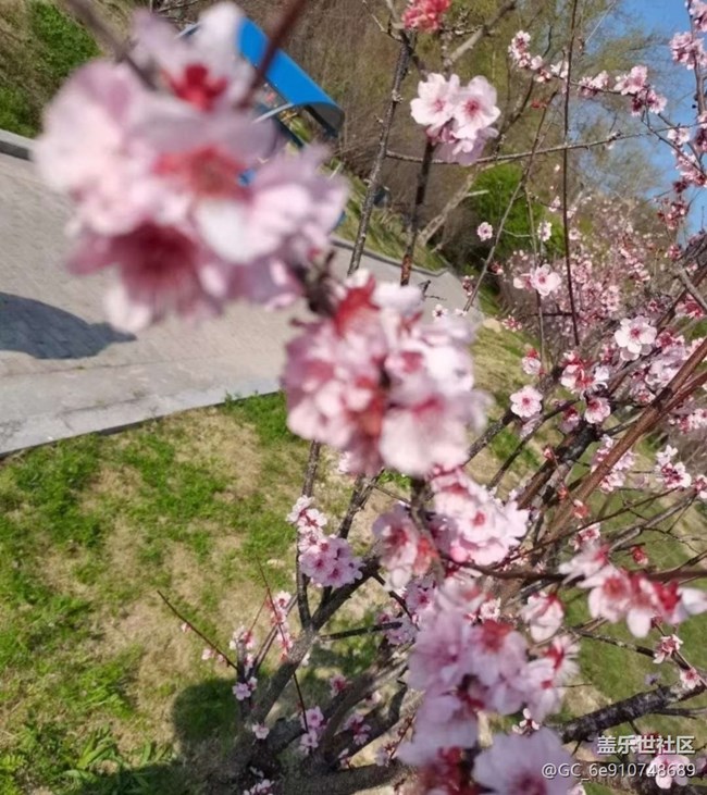 【徒步所見】出去曬曬